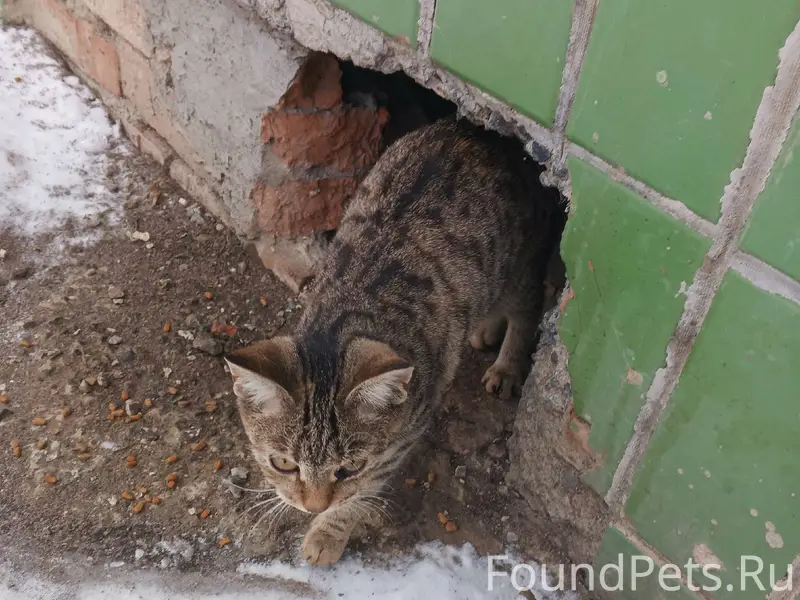 1 января в коробках из под...