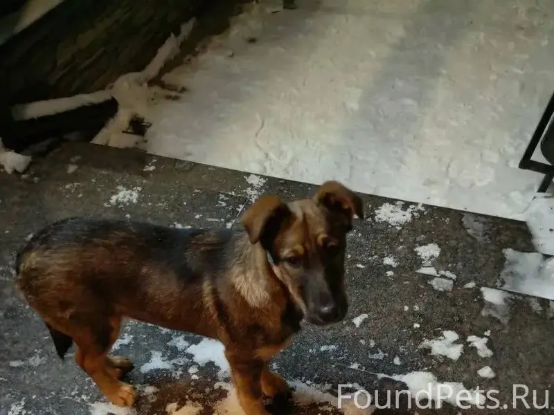 На территорию отеля Завидово Р...