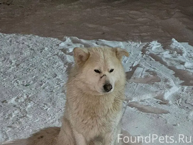 Примерно 15-16 декабря 2025г(1...