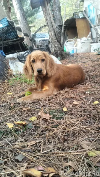 В районе Южного Портала пропал...