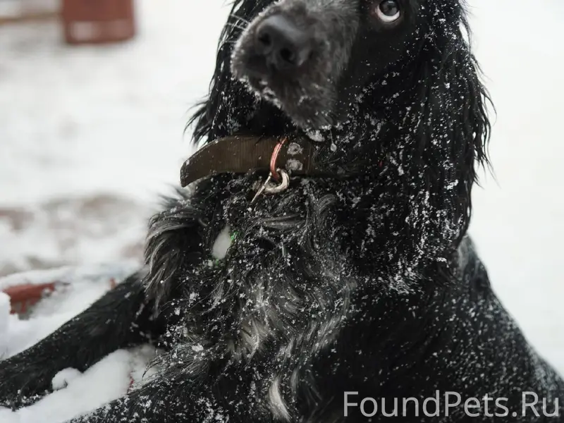 Друзья спасибо всем за поддерж...