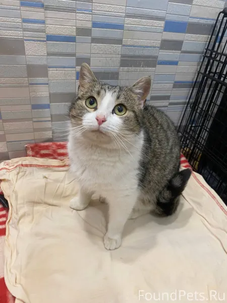 Здравствуйте всем. Очередная п...