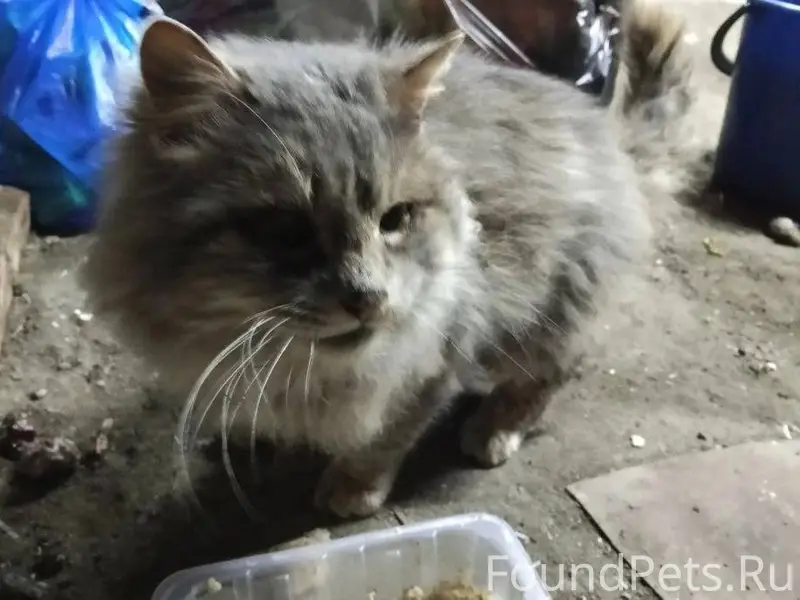 SOS!!! Коломна и близлежащие г...