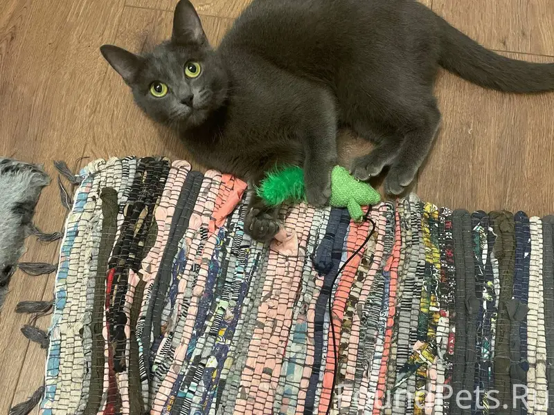 05.01.2026 По адресу Мичурина....