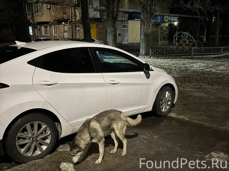 В районе старого аэропорта нед...