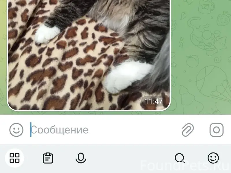 Пропал кот по улице Красноарме...