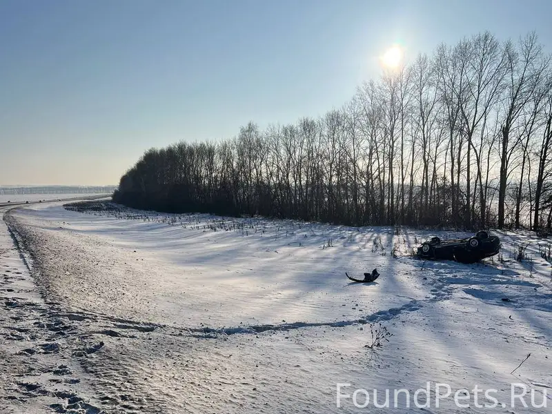 02.01.2025г. у нас произошла.....