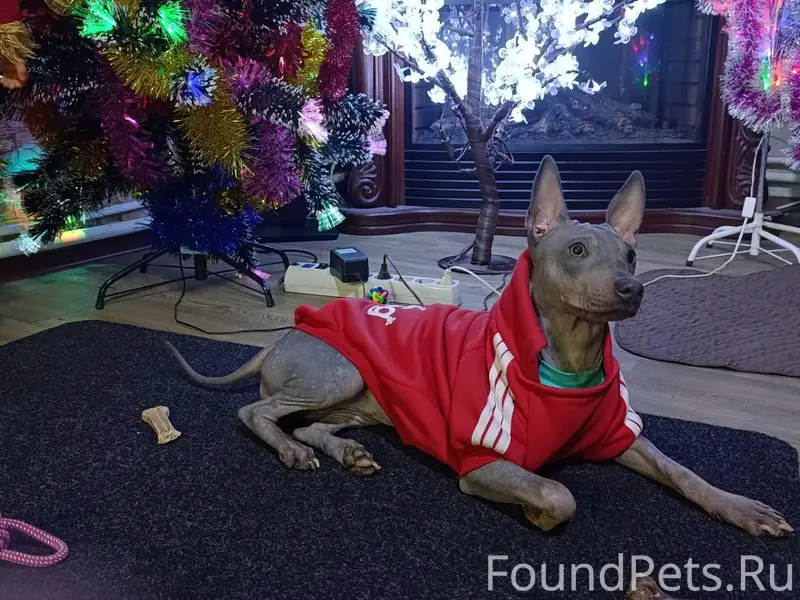 Здравствуйте! Пропала домашняя...