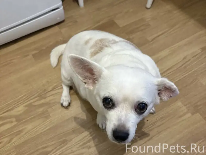 Нашли 4.01.2026 в районе...