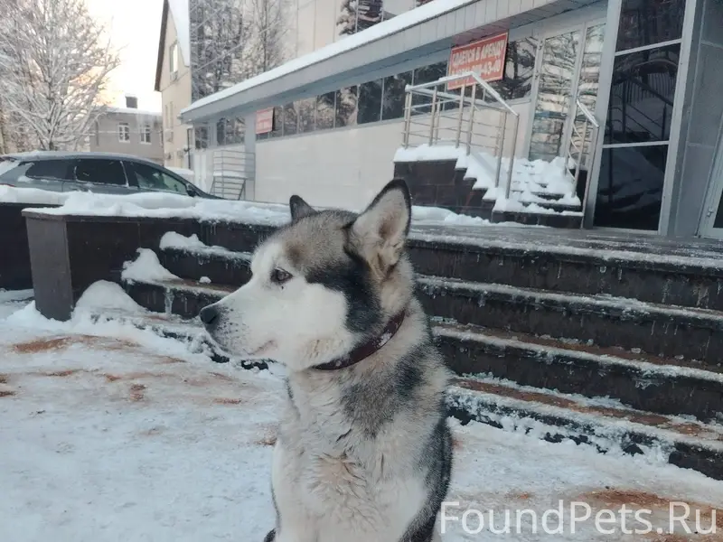 Доброе, у юбилейного во Всевол...