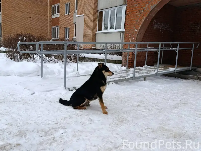 Электросталь, улица Юбилейная ...