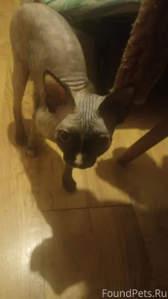 3 января в подъезде по ул...