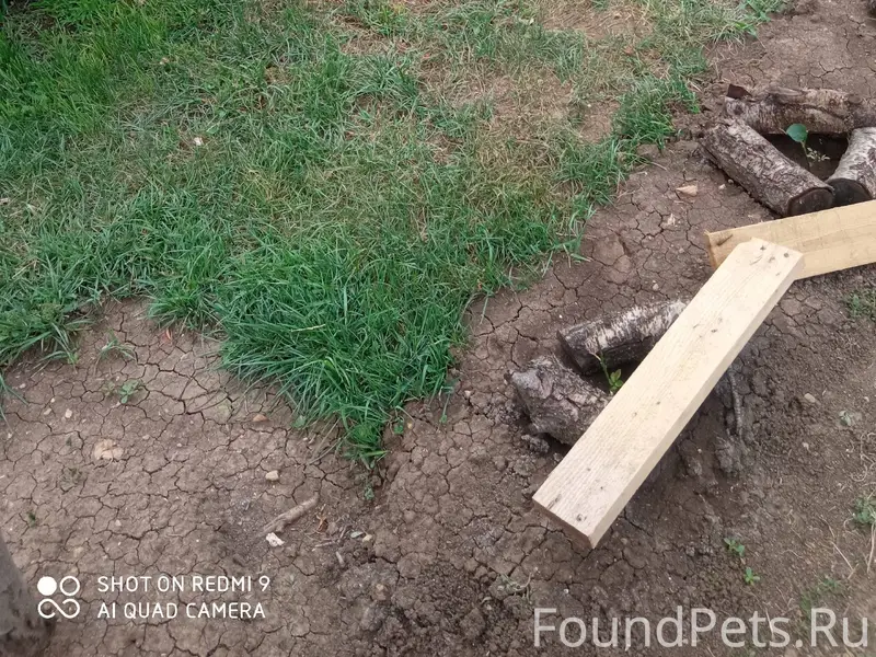 Пожалуйста! Всём неравнодушным...