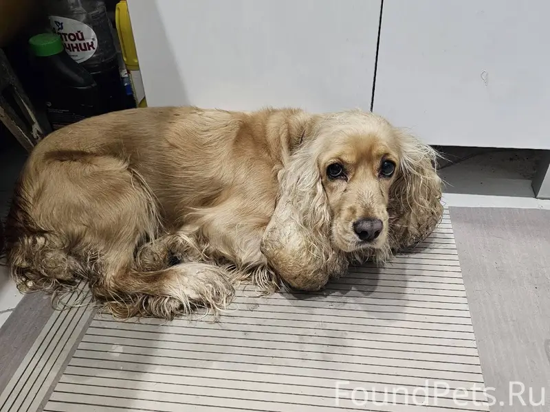 ‼️ Друзья, Северодвинск, прошу...