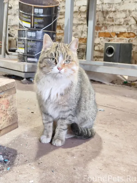 КТО-ТО ПОТЕРЯЛ? ИЛИ ВЫКИНУЛИ? ...