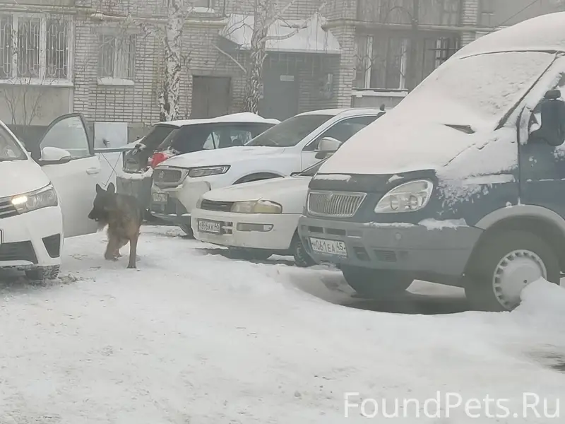 Прошу откликнуться неравнодушн...