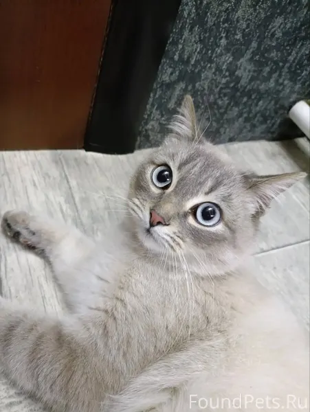 На улице Советская 29, где пун...