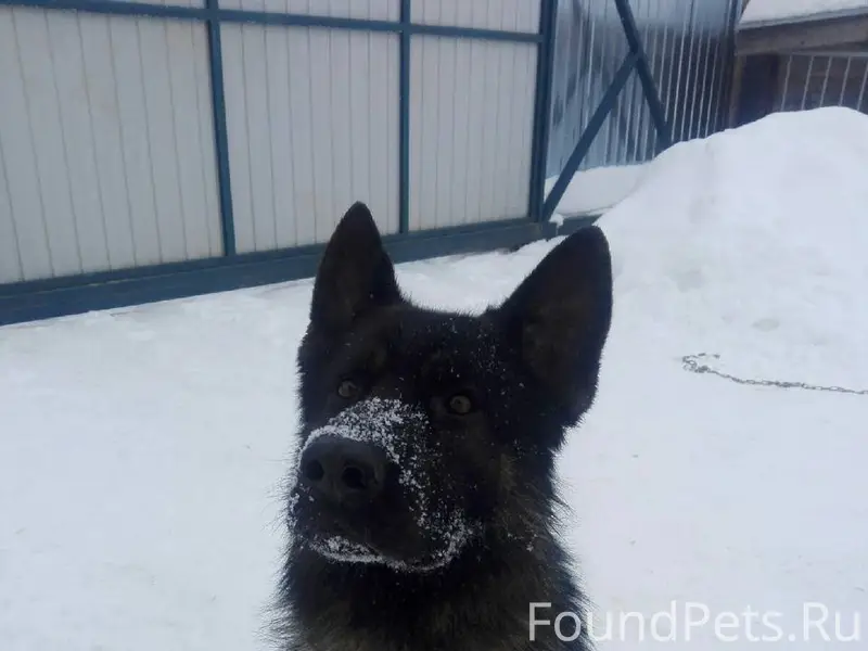 Московская область Щелковский ...