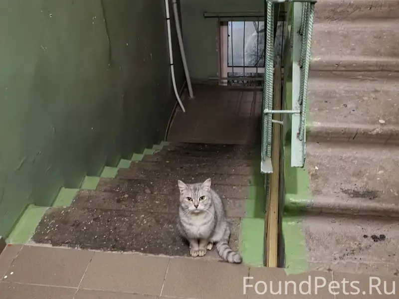 По адресу мкр. 3, д. 18...