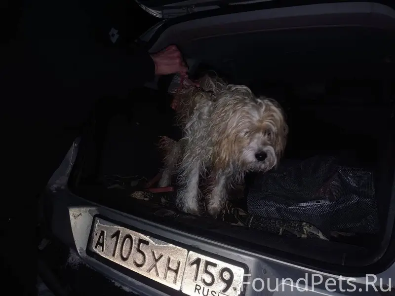 Внимание! На Уральской найден ...