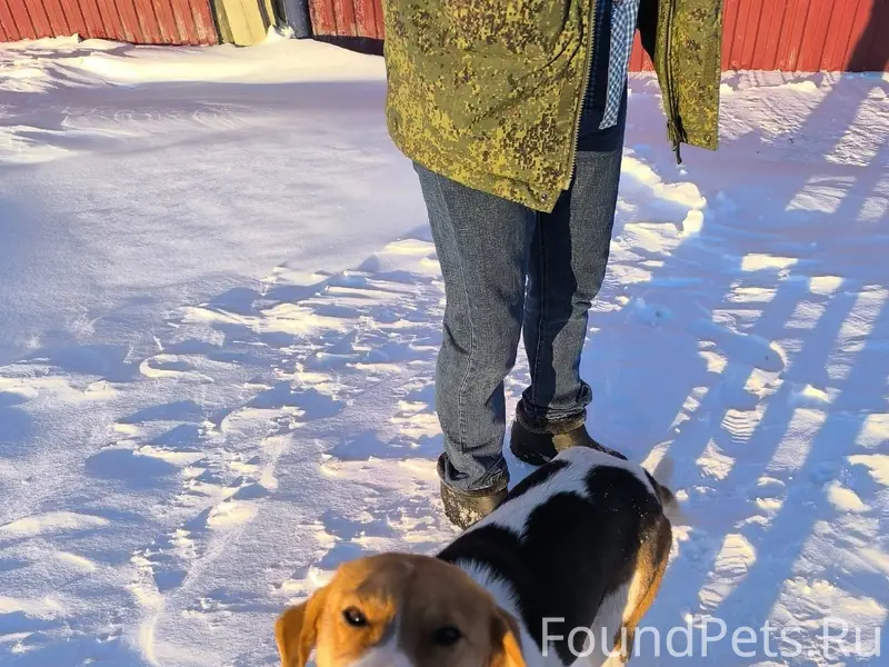 ПОМОГАЮ ИНФОРМАЦИОННО!‼️ ПОПРО...