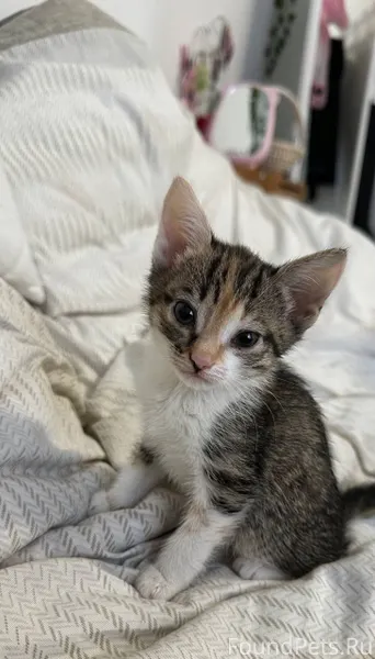 В канун Рождества 💫 хочу подел...