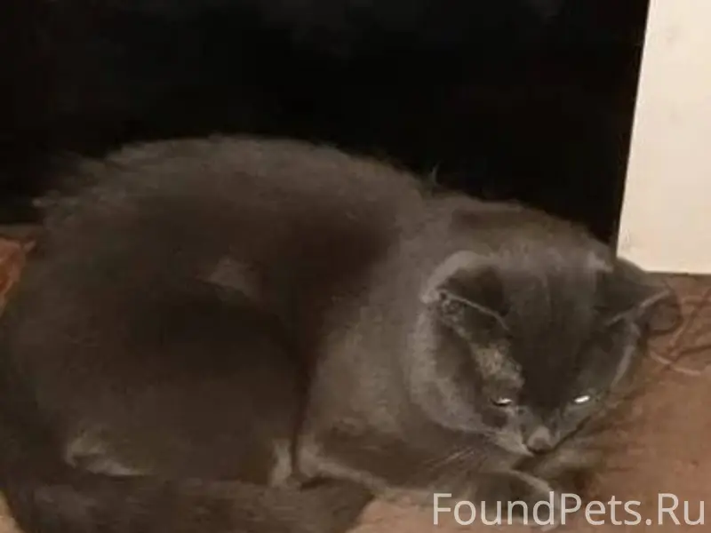 Всем добрый вечер. Помогите по...