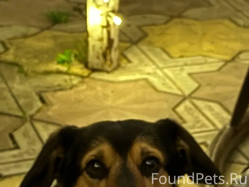 Пожалуйста помогите найти ‼️ПР...