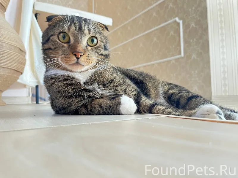 26.10 в п.Н.Голубево...