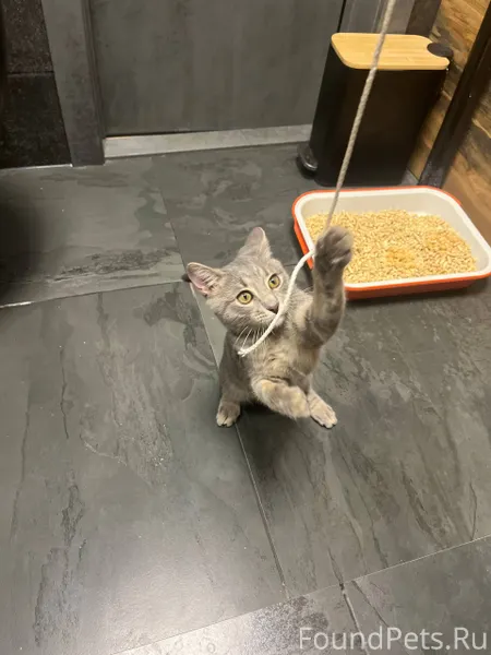 Добрый вечер, в подъезде найде...