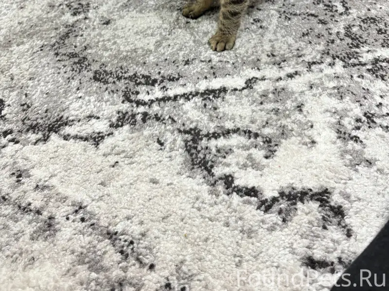 На улице Ермощенко 179/1 найде...