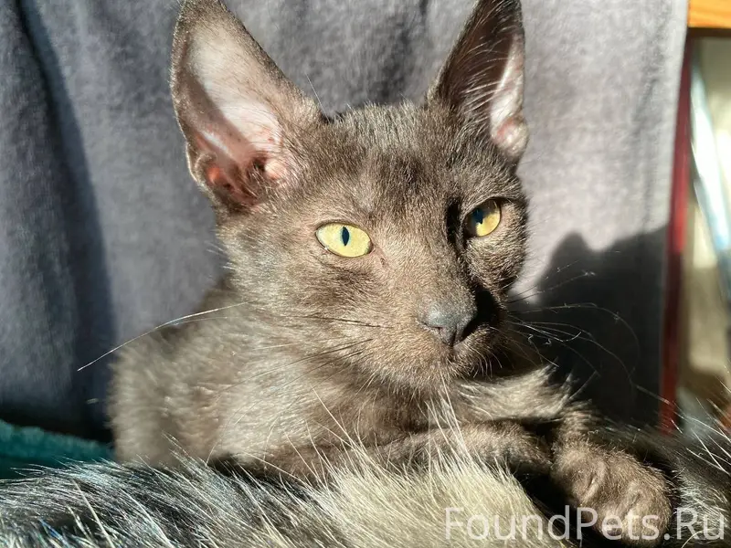 В районе ул. Перекопская, мага...