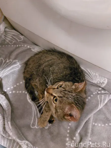 ⚠️ Срочно нужна помощь! Найден...