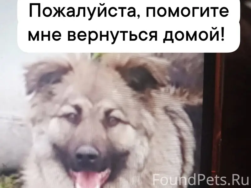 31 декабря в Сатке на улице...