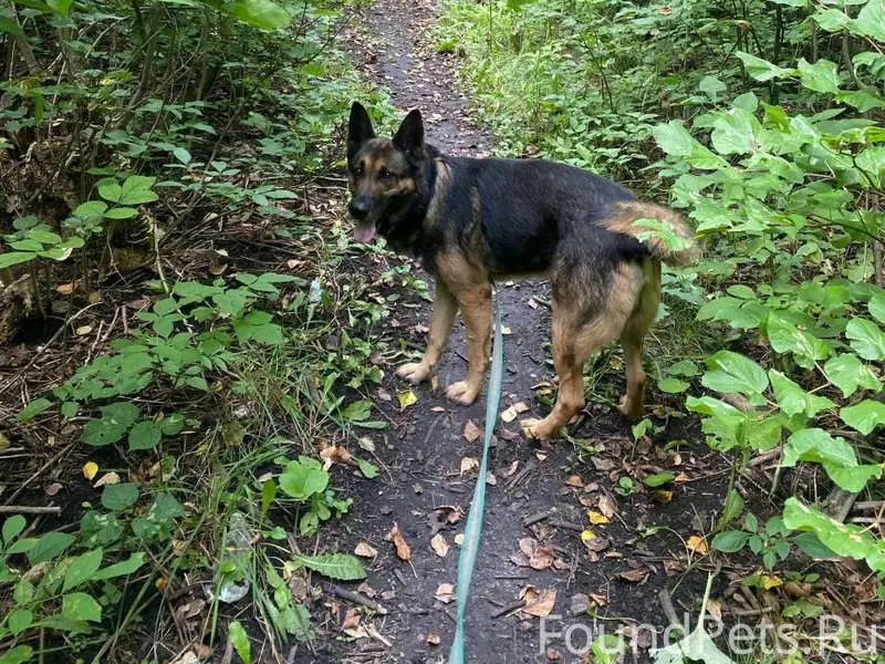 Добрый день! 02.01.2026 в...