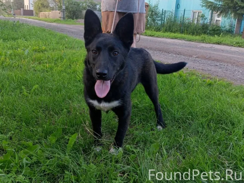 Здравствуйте, 6 января примерн...