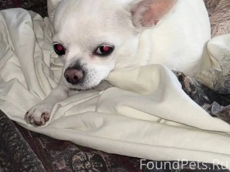 07.01.2026 13:43 ПРОПАЛА...