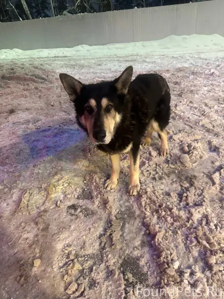 SOS!!!Помогаю информационно!!!...