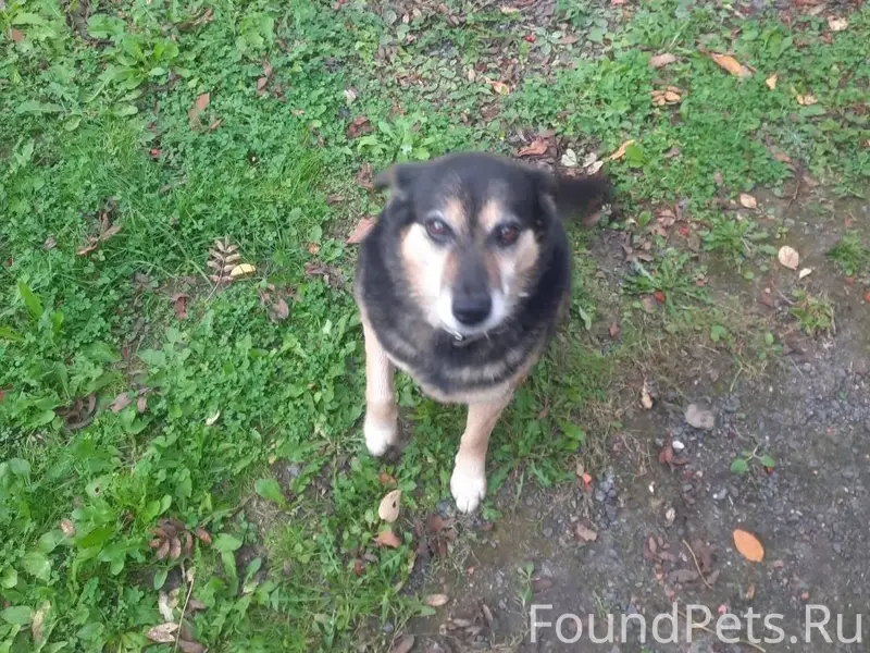 Добрый день. Сегодня утром убе...