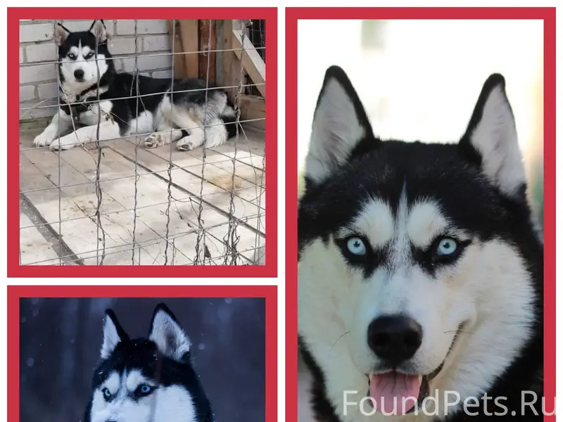 ❗ ВЕРИМ, НАДЕЕМСЯ, ЛЮБИМ, ИЩЕМ...