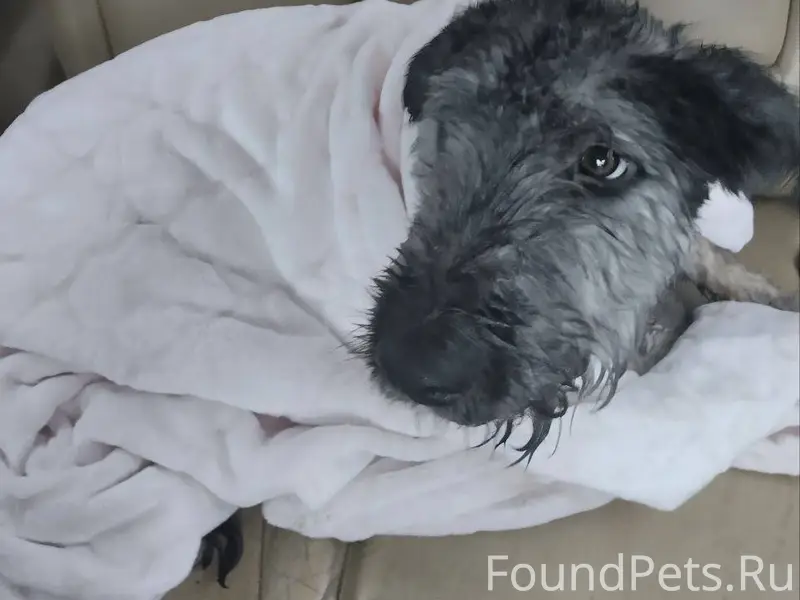 Белгород!!!Чей?Я нашёл: «Добры...