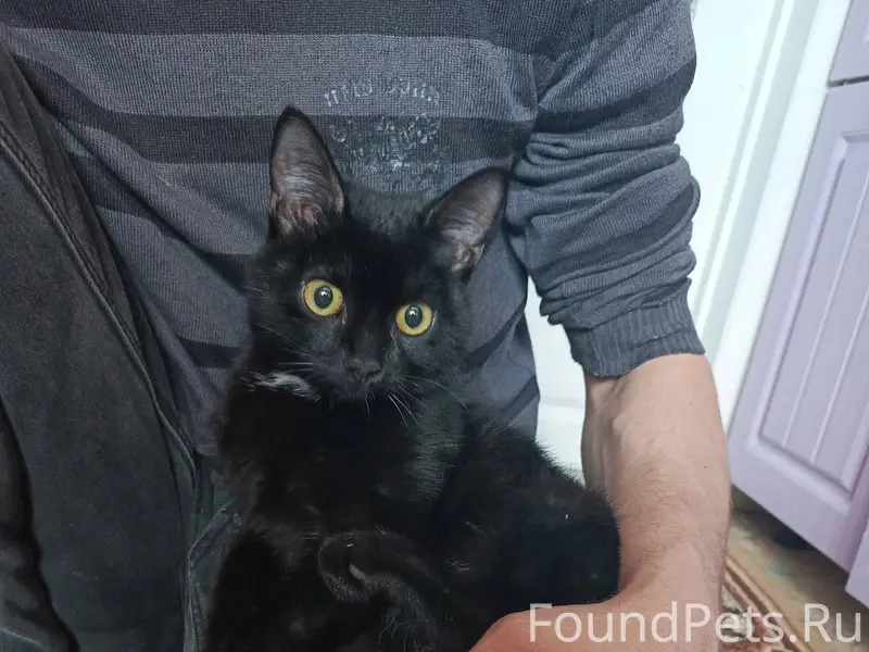 ‼️ПОМОГИТЕ РАСПРОСТРАНИТЬ ИНФО...