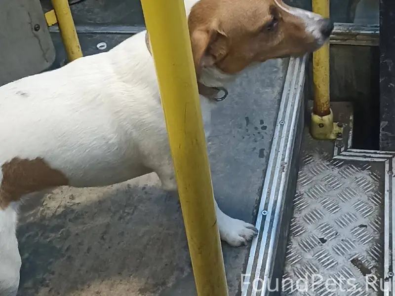 В маршрутке N 73 Ростова-на...