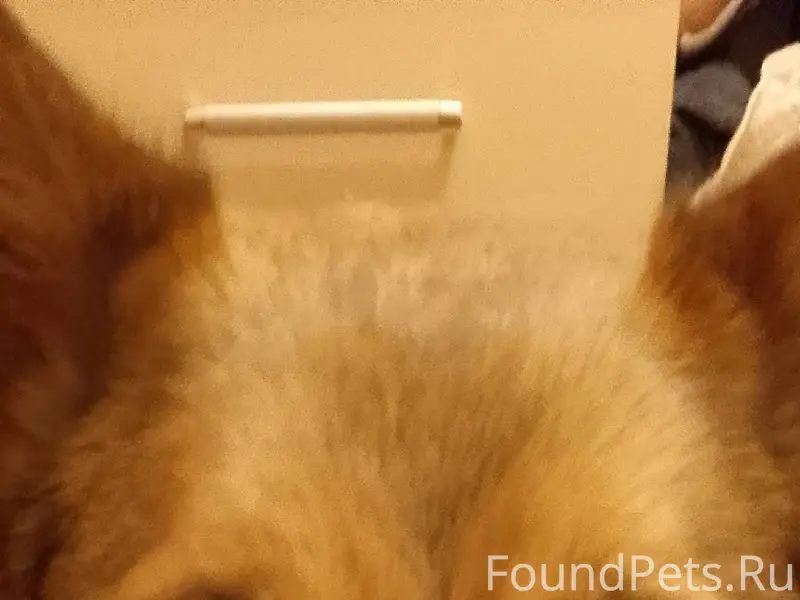 01.01.2026 трассе М8 возле...