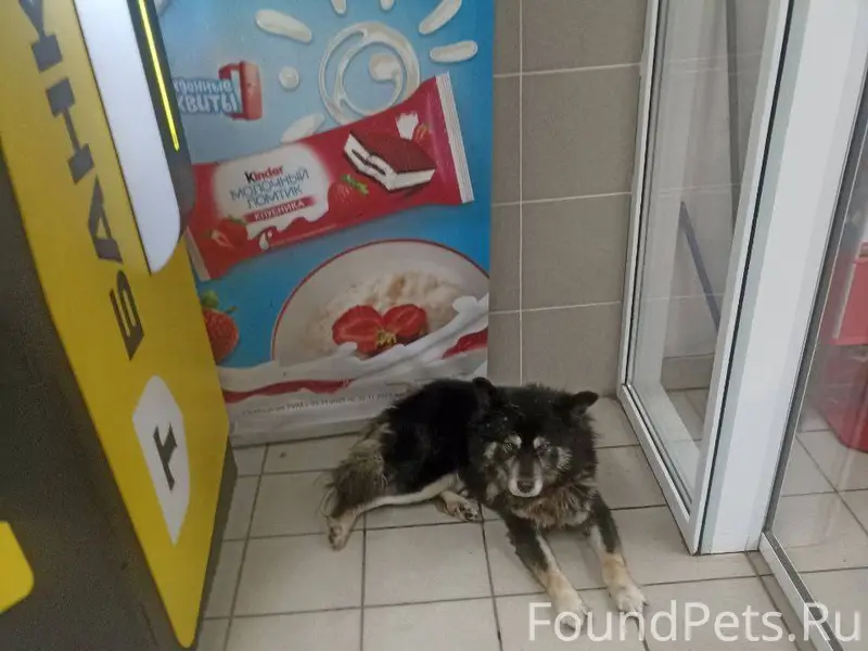 Зеленодольск. Магазин МАГНИТ М...