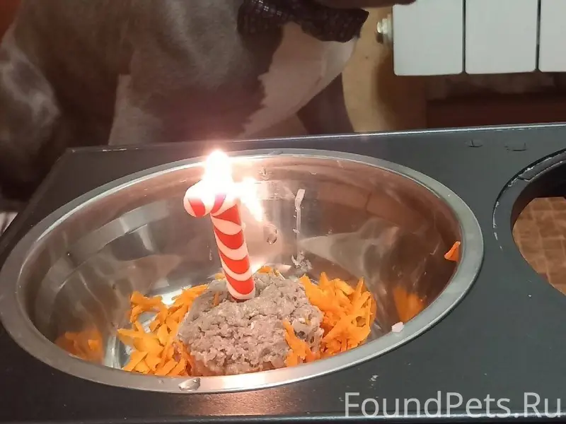 Прошу максимального репоста 🙏 ...