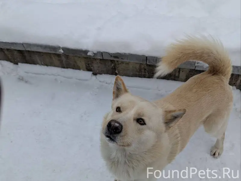 Добрый день Три недели назад в...