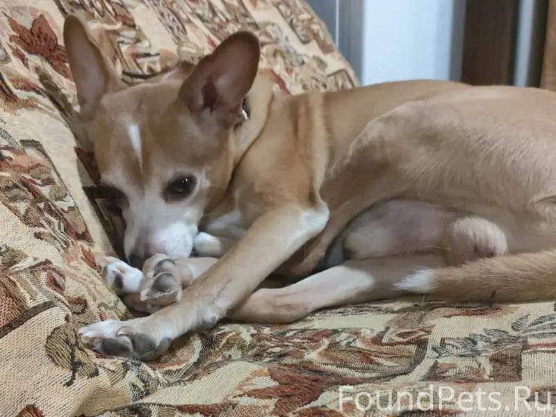 Максимальный репост пожалуйста...