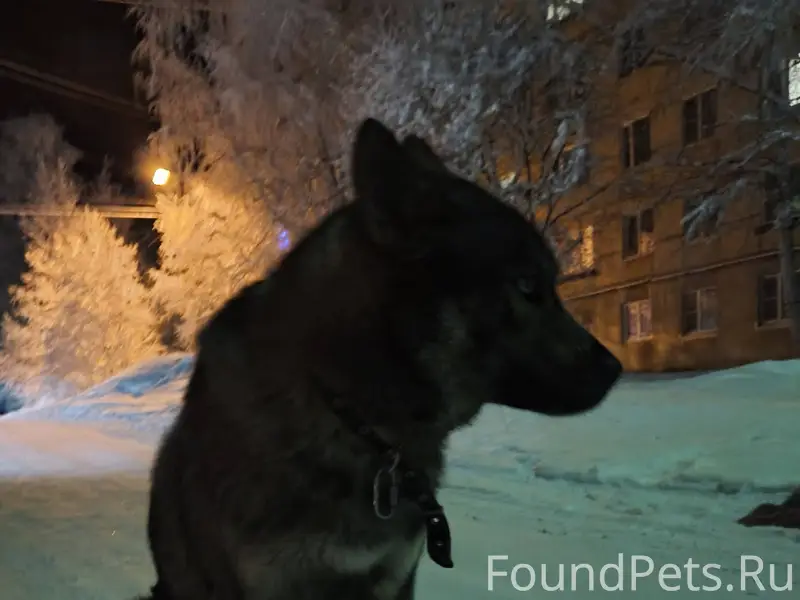 📌Друзья, на Проезд Бумажников,...