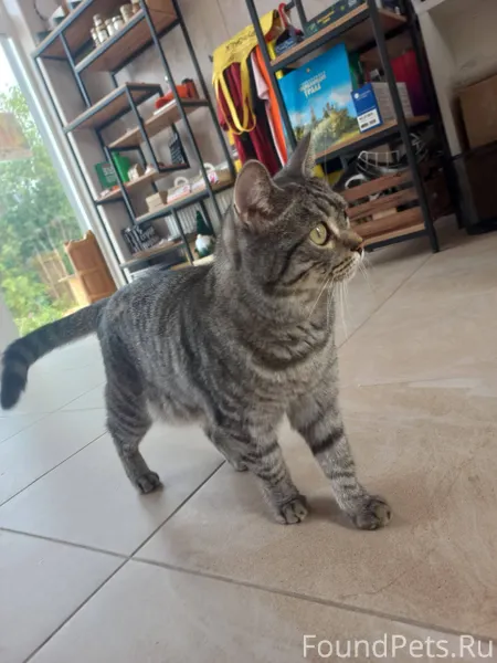 Июль 2025 ⭐️ В июле к...